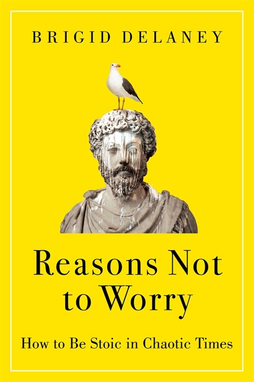 Reasons Not to Worry: How to Be Stoic in Chaotic Times (Hardcover)