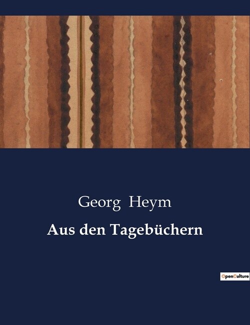 Aus den Tageb?hern (Paperback)