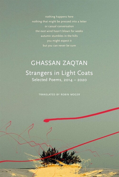 Strangers in Light Coats : Selected Poems, 2014–2020 (Paperback)