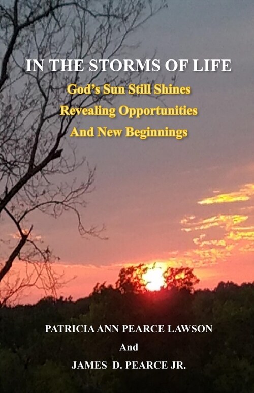 In the Storms of Life: Gods Sun Still Shines Revealing Opportunties and New Beginnings (Paperback)