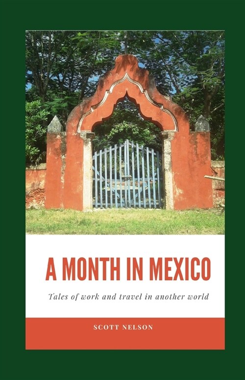 A Month In Mexico: Tales of work and travel in another world (Paperback)