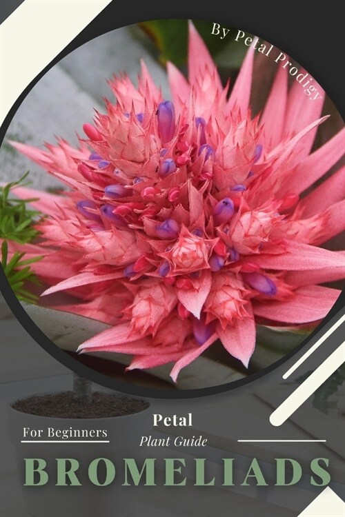 Bromeliads: Prodigy Petal, Plant Guide (Paperback)