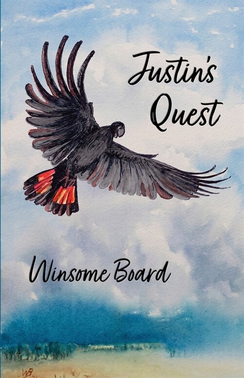 Justins Quest (Paperback)