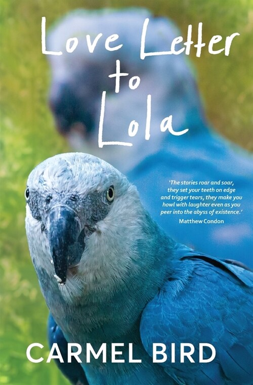 Love Letter to Lola (Paperback)