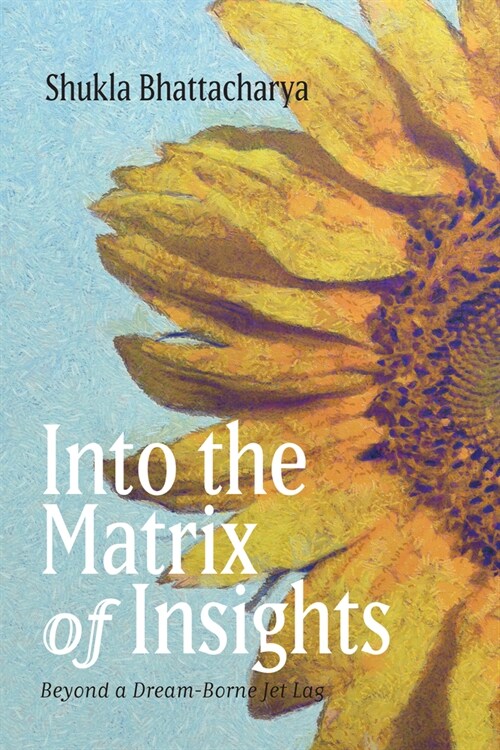 Into the Matrix of Insights (Paperback)