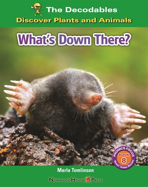 Whats Down There? (Paperback)