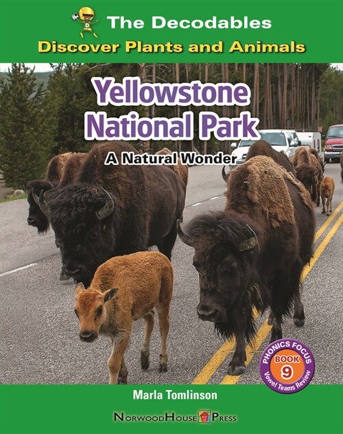 Yellowstone National Park: A Natural Wonder (Paperback)