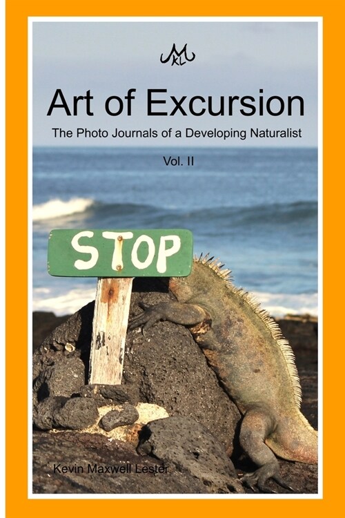 Art of Excursion Vol. 2 (Paperback)