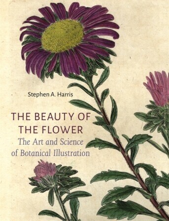 The Beauty of the Flower : The Art and Science of Botanical Illustration (Hardcover)