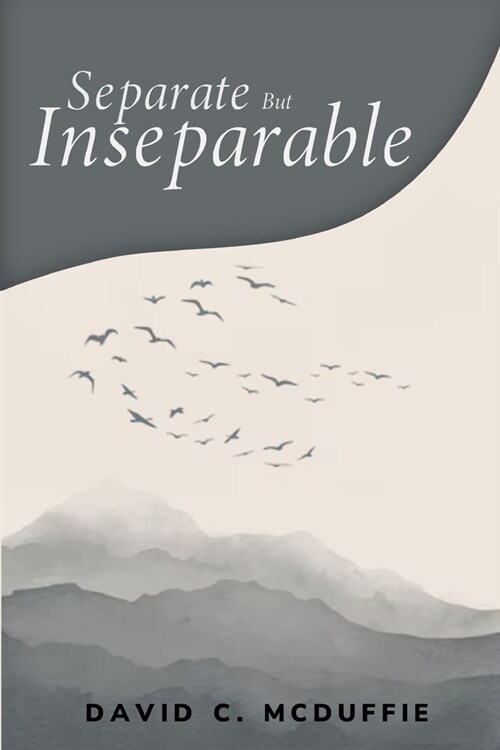 separate but inseparable (Paperback)