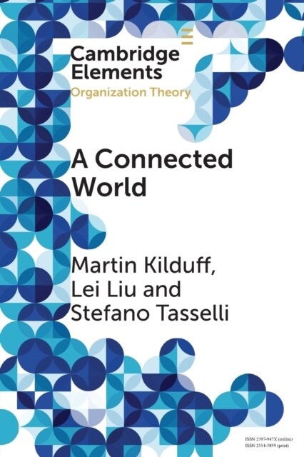 A Connected World : Social Networks and Organizations (Paperback)