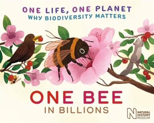 One Life, One Planet: One Bee in Billions : Why Biodiversity Matters (Hardcover)
