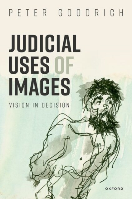 Judicial Uses of Images : Vision in Decision (Hardcover)