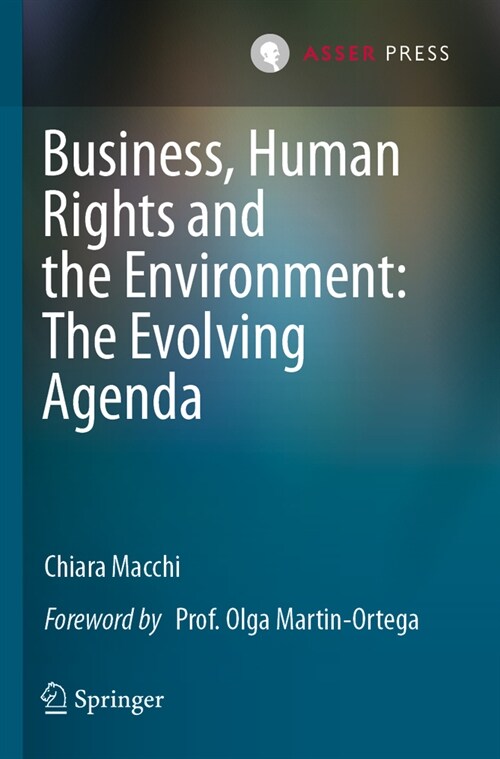 Business, Human Rights and the Environment: The Evolving Agenda (Paperback)