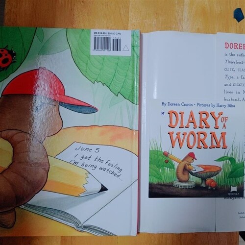 [중고] Diary of a Worm (Hardcover)