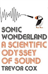 Sonic Wonderland (Hardcover)