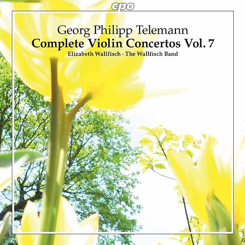 [수입] 텔레만 : 바이올린 협주곡 7집