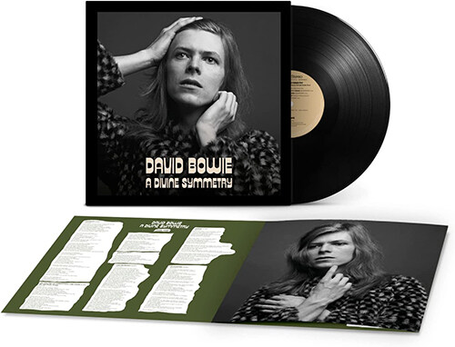 [수입] David Bowie - A Divine Symmetry (An alternative journey through Hunky Dory) [LP]
