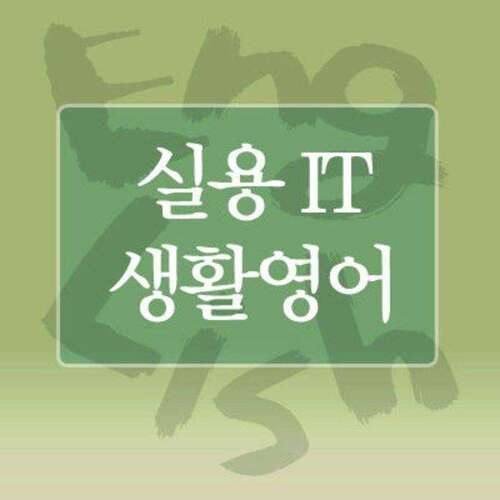 실용 IT생활영어  DVD/MP3/Windows 시스템 편