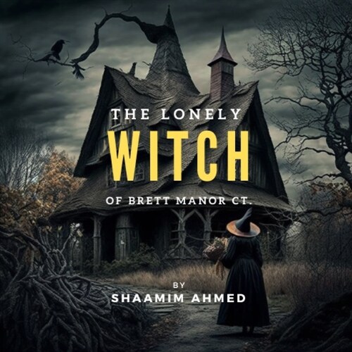 The Lonely Witch of Brett Manor Ct. (Paperback)