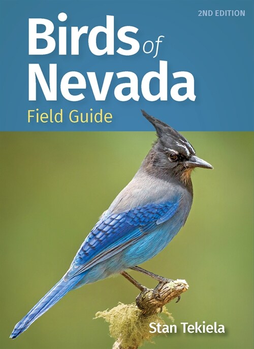 Birds of Nevada Field Guide (Paperback)