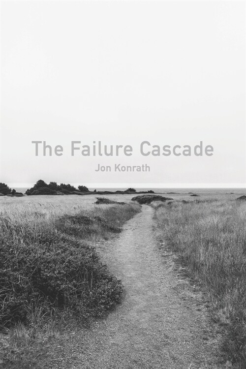 The Failure Cascade (Paperback)