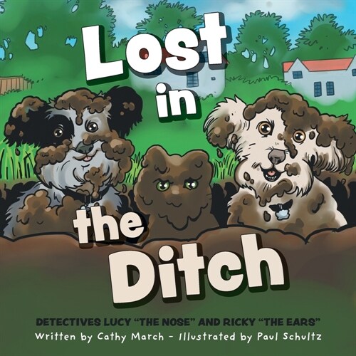 Lost in the Ditch (Paperback)