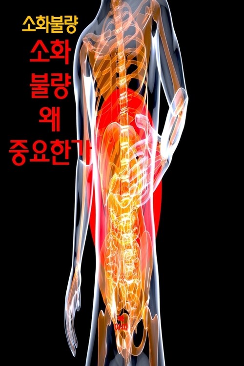 소화불량