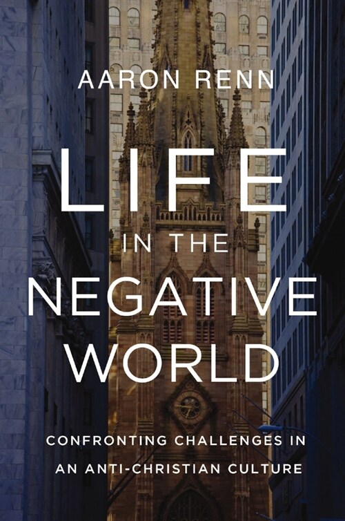 Life in the Negative World: Confronting Challenges in an Anti-Christian Culture (Hardcover)