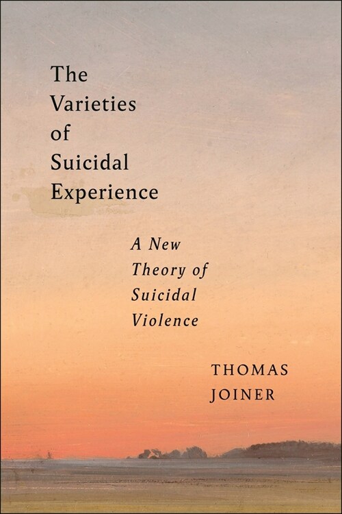 The Varieties of Suicidal Experience: A New Theory of Suicidal Violence (Paperback)