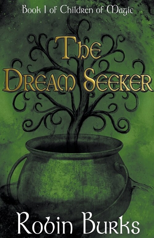 The Dream Seeker (Paperback)