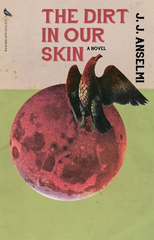 The Dirt in Our Skin (Paperback)
