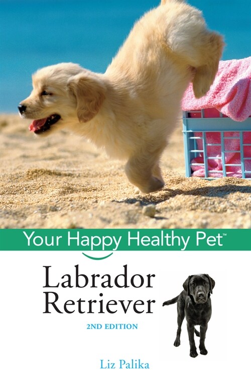 Labrador Retriever: Your Happy Healthy Pet (Hardcover, 2)