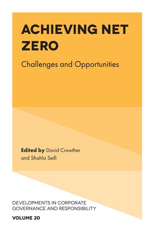 Achieving Net Zero : Challenges and Opportunities (Hardcover)