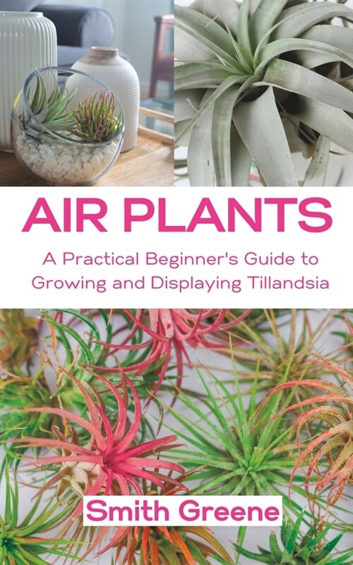Air Plants: A Practical Beginners Guide to Growing and Displaying Tillandsia (Paperback)