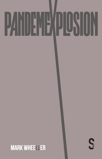 Pandemexplosion (Paperback)