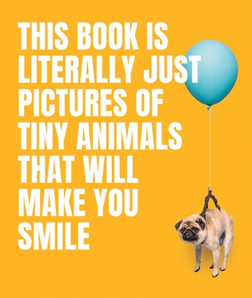 This Book Is Literally Just Pictures of Tiny Animals That Will Make You Smile (Hardcover)