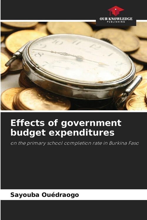 Effects of government budget expenditures (Paperback)