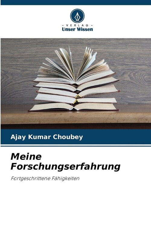 Meine Forschungserfahrung (Paperback)