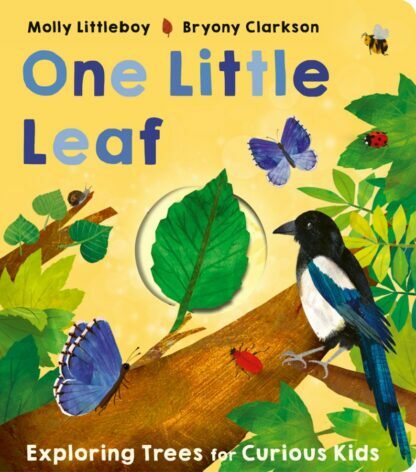 One Little Leaf (Board Book)