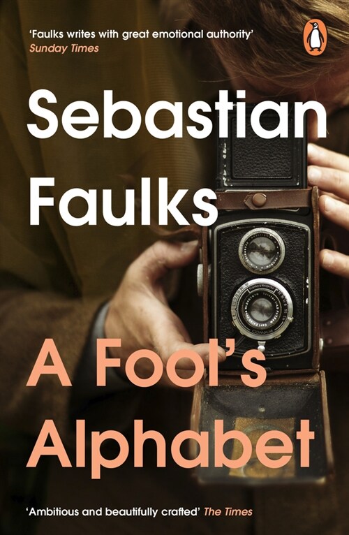 A Fools Alphabet (Paperback)