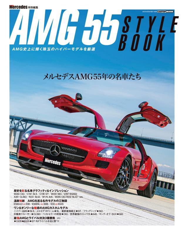 AMG55 スタイル (CARTOP MOOK)