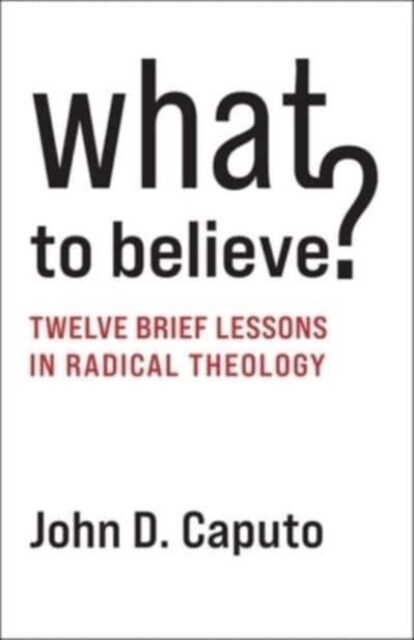 What to Believe?: Twelve Brief Lessons in Radical Theology (Paperback)