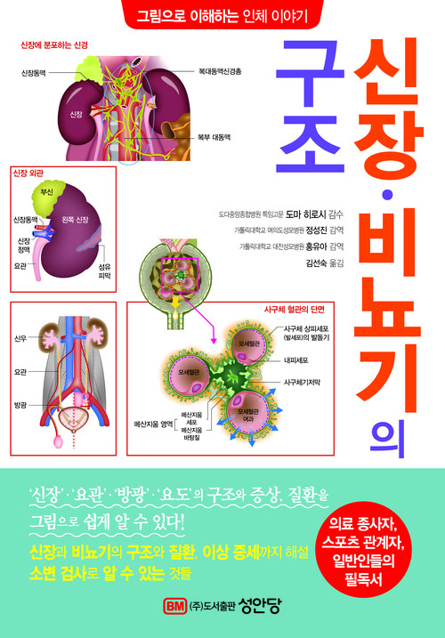 신장.비뇨기의 구조