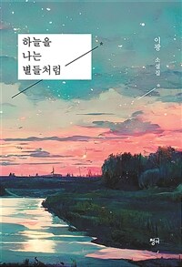 하늘을 나는 별들처럼 :이광 소설집 