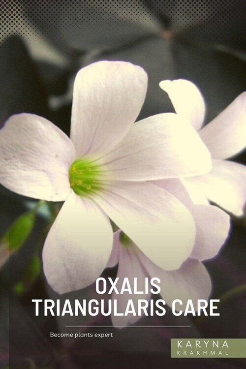 Oxalis Triangularis Care: Become plants expert (Paperback)