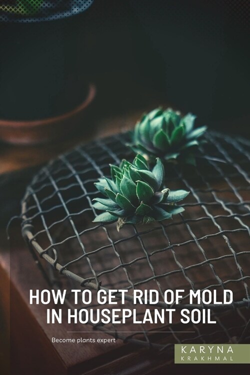 How to Get Rid of Mold in Houseplant Soil: Become plants expert (Paperback)