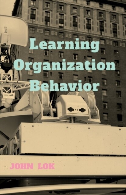 Learning Organization Behavior (Paperback)