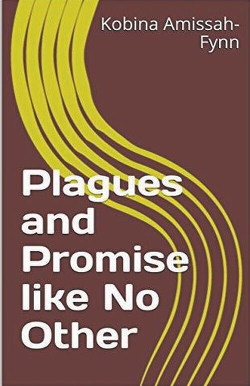 Plagues and Promise like No Other (Paperback)