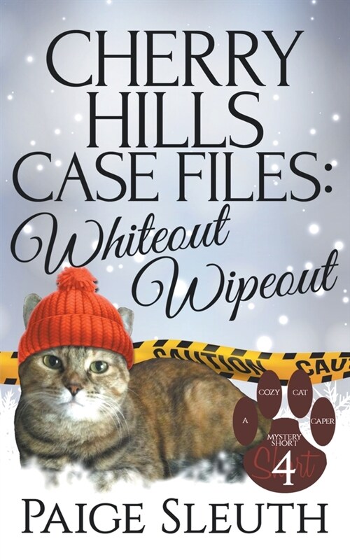 Cherry Hills Case Files: Whiteout Wipeout (Paperback)